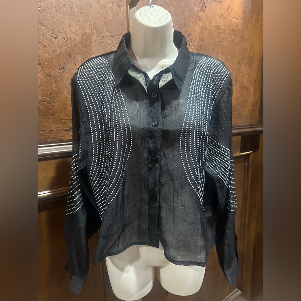 NWT SIZE 2X Elegant Black Sheer Button Down Shirt